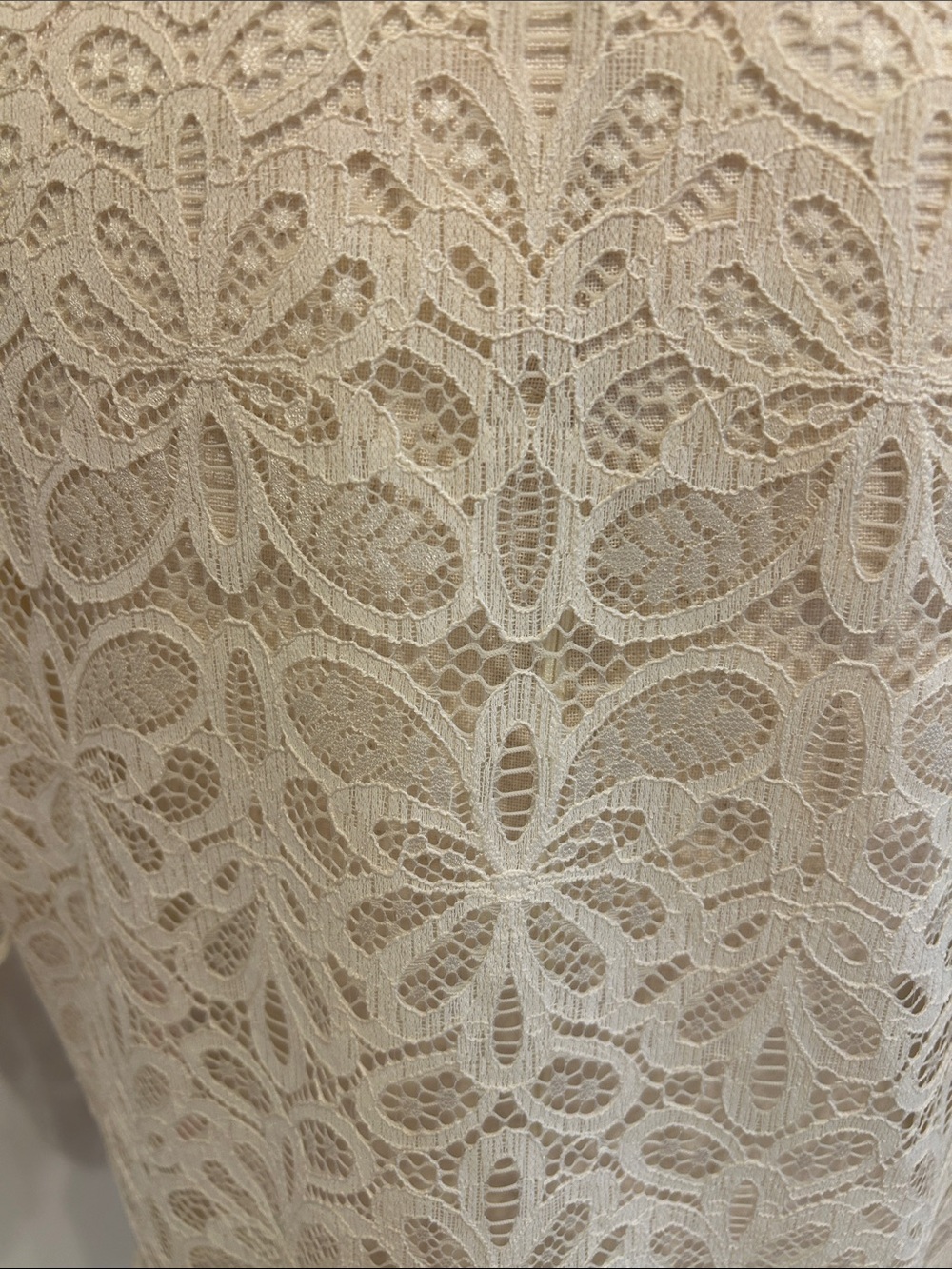 intimissimi Cream Lace Short Sleeve Button-Up Blouse - Picture 7 of 8